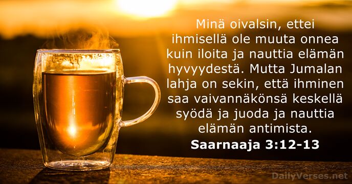 Minä oivalsin, ettei ihmisellä ole muuta onnea kuin iloita ja nauttia elämän… Saarnaaja 3:12-13