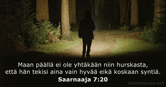 Saarnaaja 7:20