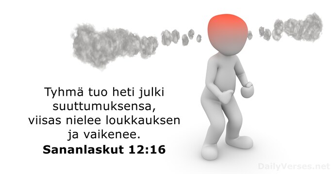 Sananlaskut 12:16