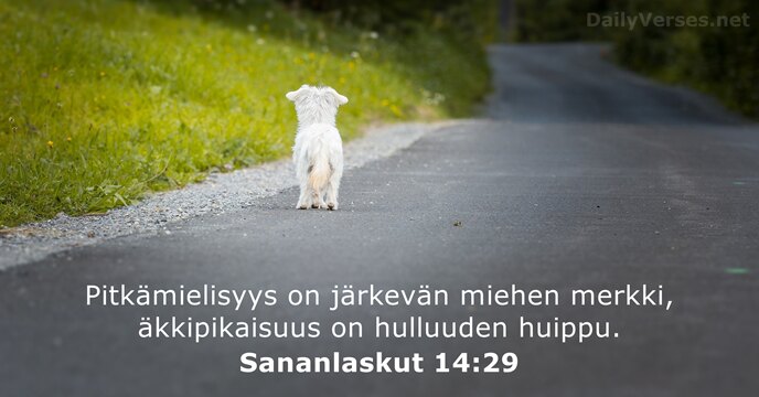 Pitkämielisyys on järkevän miehen merkki, äkkipikaisuus on hulluuden huippu. Sananlaskut 14:29