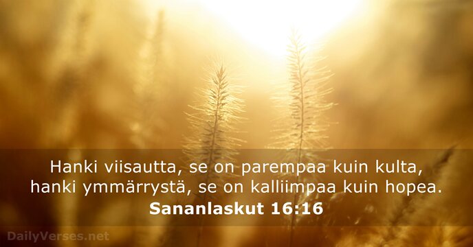Sananlaskut 16:16