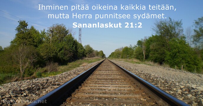 Sananlaskut 21:2