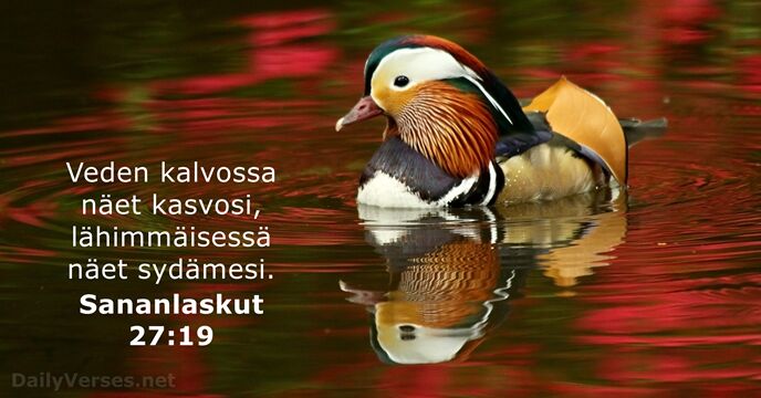 Sananlaskut 27:19