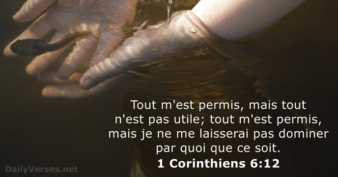 Tout m'est permis, mais tout n'est pas utile; tout m'est permis, mais… 1 Corinthiens 6:12