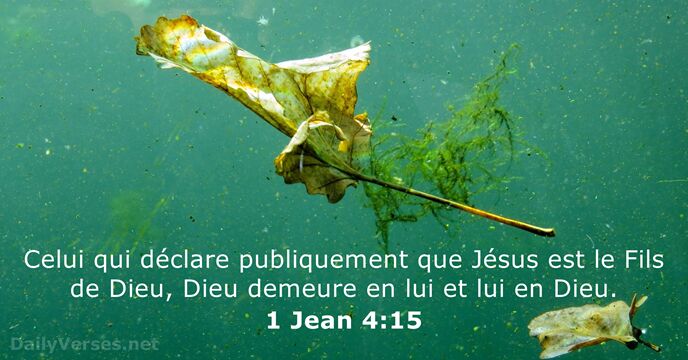 1 Jean 4:15