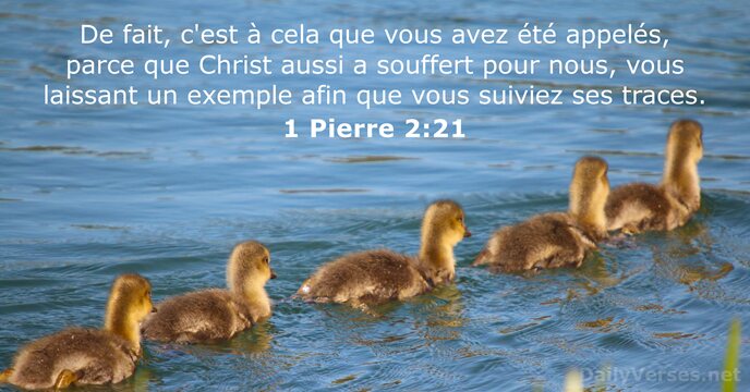 1 Pierre 2:21