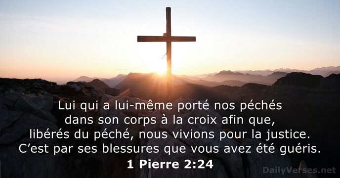 1 Pierre 2:24