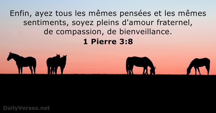 1 Pierre 3:8