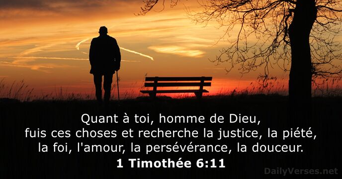 1 Timothée 6:11