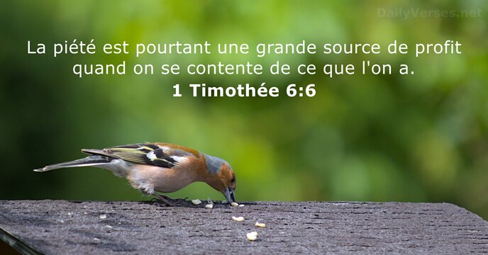 La piété est pourtant une grande source de profit quand on se… 1 Timothée 6:6