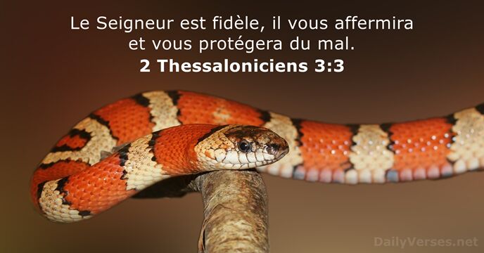 Le Seigneur est fidèle, il vous affermira et vous protégera du mal. 2 Thessaloniciens 3:3