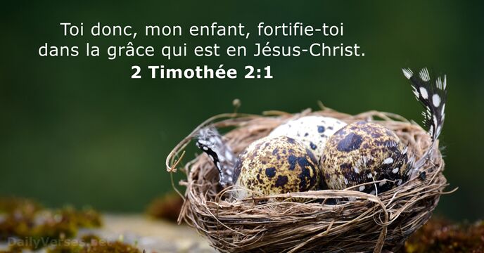 Toi donc, mon enfant, fortifie-toi dans la grâce qui est en Jésus-Christ. 2 Timothée 2:1
