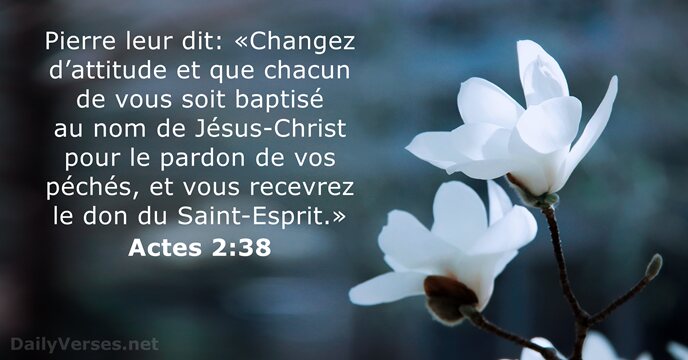 Pierre leur dit: «Changez d’attitude et que chacun de vous soit baptisé… Actes 2:38