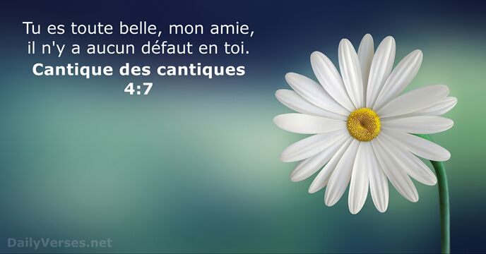 Tu es toute belle, mon amie, il n'y a aucun défaut en toi. Cantique des cantiques 4:7