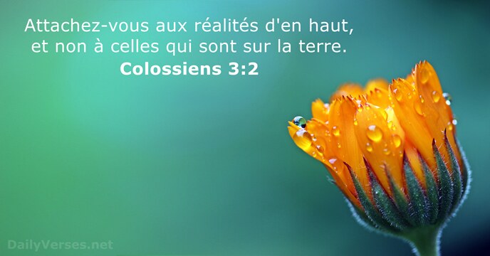 Attachez-vous aux réalités d'en haut, et non à celles qui sont sur la terre. Colossiens 3:2