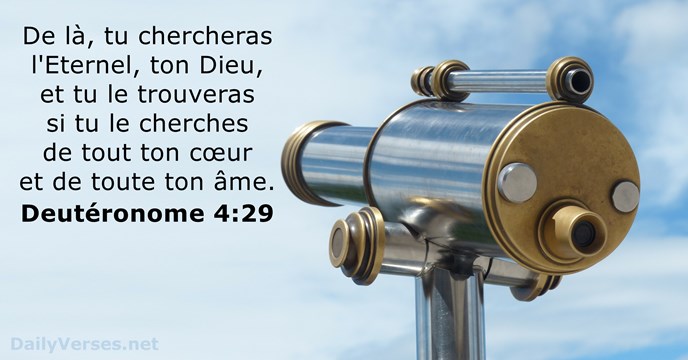 Deutéronome 4:29