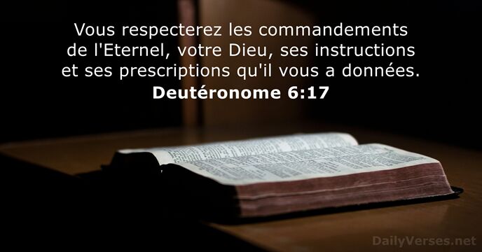 Vous respecterez les commandements de l'Eternel, votre Dieu, ses instructions et ses… Deutéronome 6:17