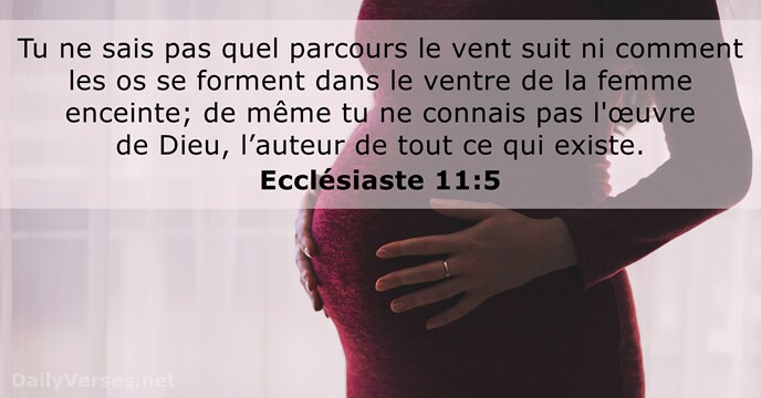 Ecclésiaste 11:5