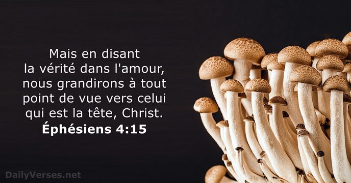 Éphésiens 4:15