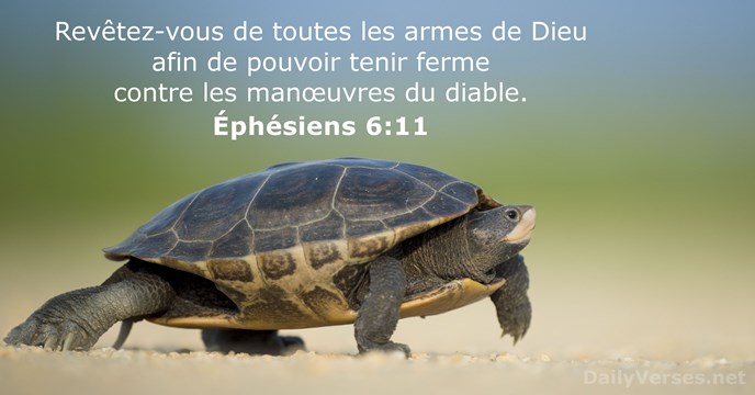 Revêtez-vous de toutes les armes de Dieu afin de pouvoir tenir ferme… Éphésiens 6:11