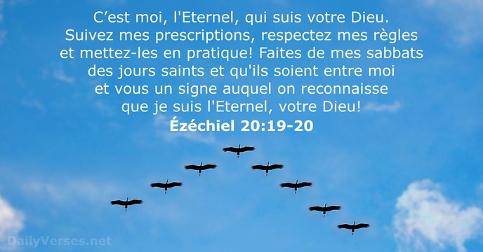 C’est moi, l'Eternel, qui suis votre Dieu. Suivez mes prescriptions, respectez mes… Ézéchiel 20:19-20