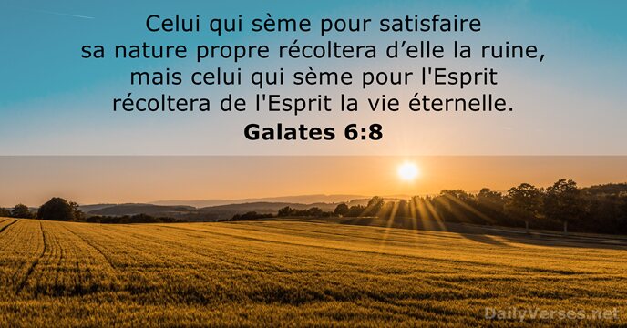 Galates 6:8
