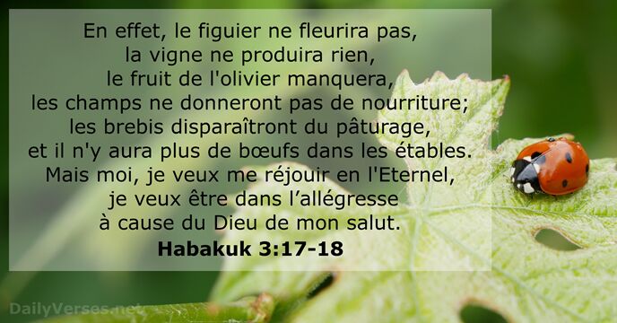 En effet, le figuier ne fleurira pas, la vigne ne produira rien… Habakuk 3:17-18