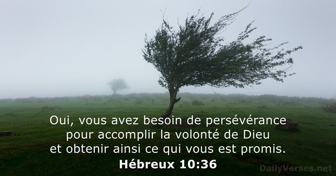Oui, vous avez besoin de persévérance pour accomplir la volonté de Dieu… Hébreux 10:36
