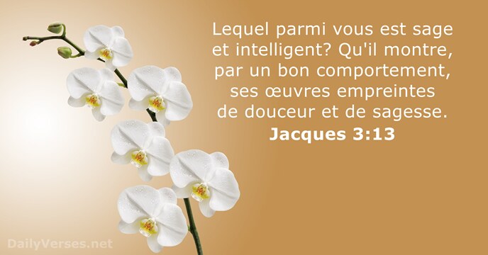 Jacques 3:13