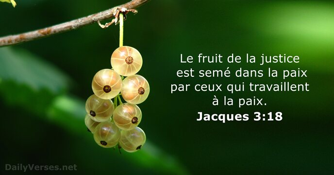 Jacques 3:18