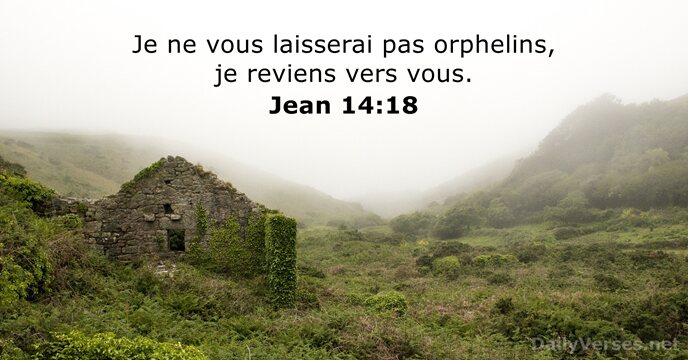 10 Versets Biblique Sur Les Orphelins Dailyverses Net