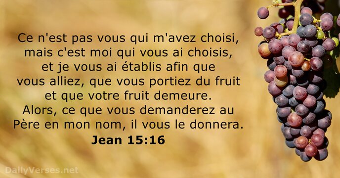 Ce n'est pas vous qui m'avez choisi, mais c'est moi qui vous… Jean 15:16