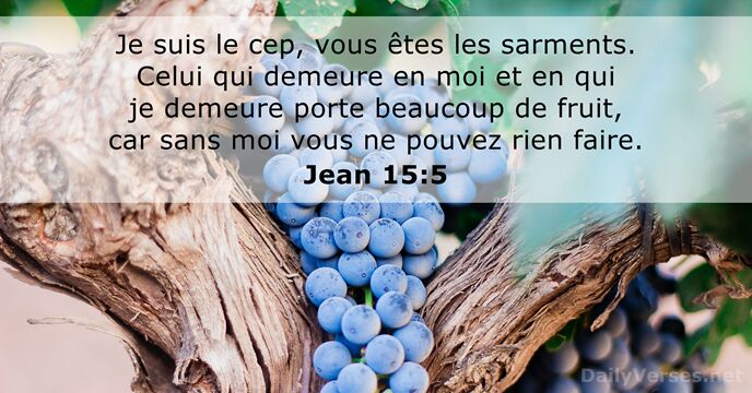 Jean 15:5