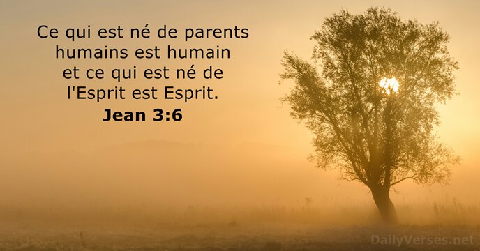 Jean 3:6
