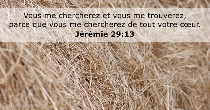 Jérémie 29:13