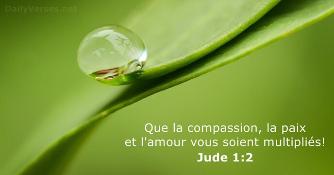Que la compassion, la paix et l'amour vous soient multipliés! Jude 1:2