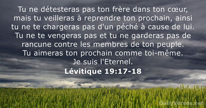 Tu ne détesteras pas ton frère dans ton cœur, mais tu veilleras… Lévitique 19:17-18