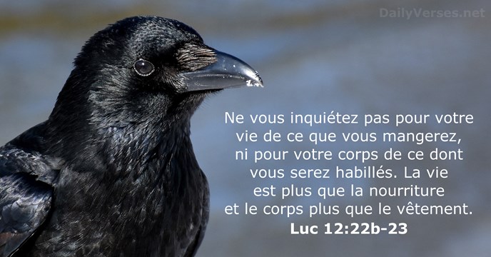 Luc 12:22b-23