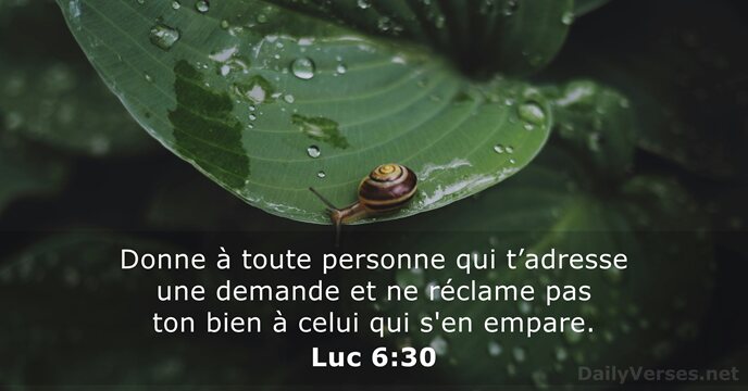 Donne à toute personne qui t’adresse une demande et ne réclame pas… Luc 6:30