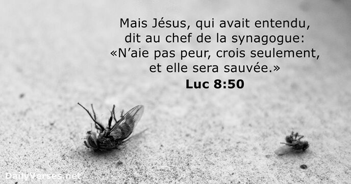 Mais Jésus, qui avait entendu, dit au chef de la synagogue: «N’aie… Luc 8:50