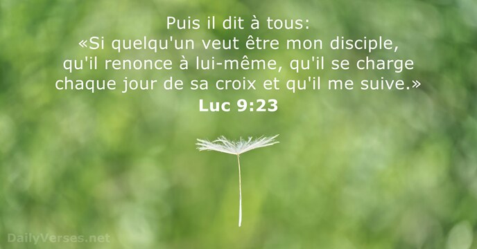 Luc 9:23