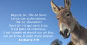 Zacharie 9:9