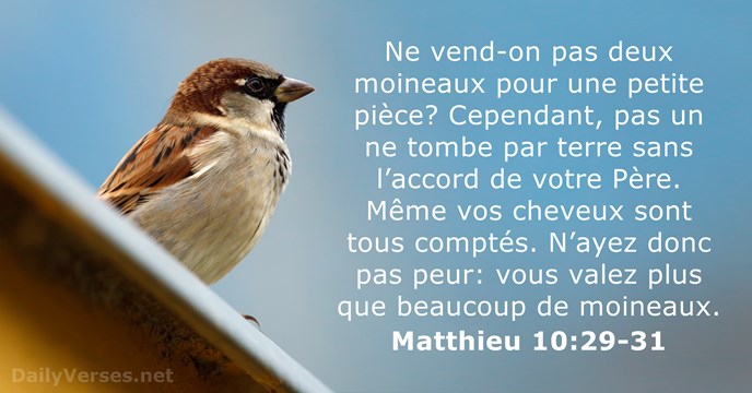 Matthieu 10:29-31