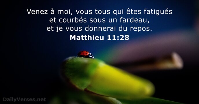 Venez à moi, vous tous qui êtes fatigués et courbés sous un… Matthieu 11:28