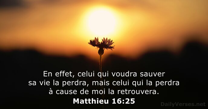 Matthieu 16:25