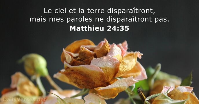 Matthieu 24:35