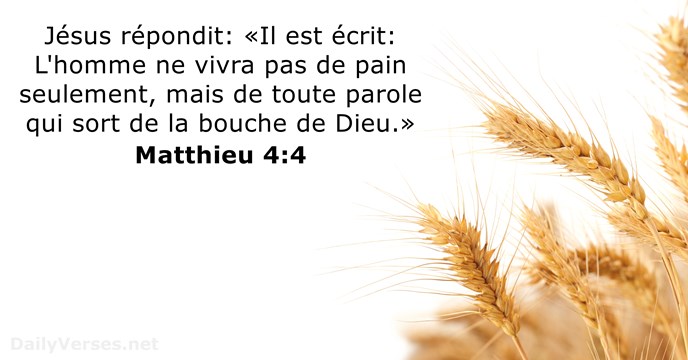 Matthieu 4:4