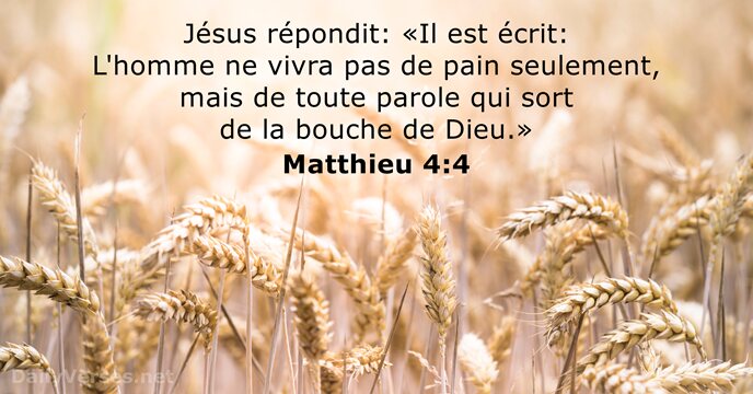 Jésus répondit: «Il est écrit: L'homme ne vivra pas de pain seulement… Matthieu 4:4