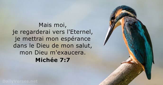 Mais moi, je regarderai vers l'Eternel, je mettrai mon espérance dans le… Michée 7:7