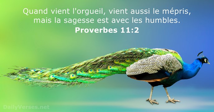 Quand vient l'orgueil, vient aussi le mépris, mais la sagesse est avec les humbles. Proverbes 11:2